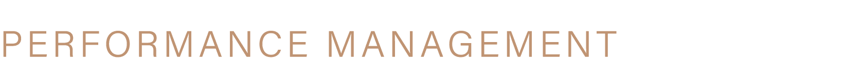 PERFORMANCE MANAGEMENT