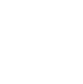 Consistent contributions, most projects delivered as expected, some exceed.